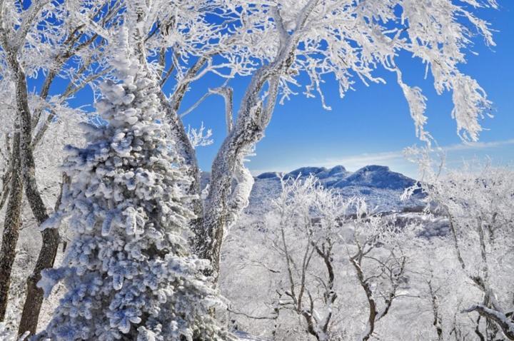 Handsome 2Br Condo With Gorgeous Views In Sugar Mountain! Condo Exterior foto